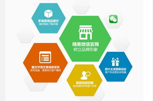 圈圈網(wǎng)絡(luò)公司微伙伴產(chǎn)品招商正火爆進行中，開啟網(wǎng)絡(luò)技術(shù)開發(fā)新篇章