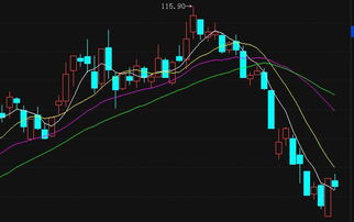 焦點科技(002315)最新走勢分析與網(wǎng)絡(luò)技術(shù)開發(fā)策略